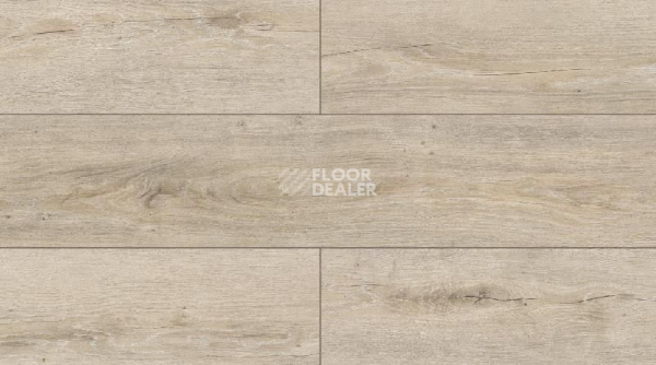 Ламинат My Step Ocean MS228 Дуб Арктик фото 1 | FLOORDEALER